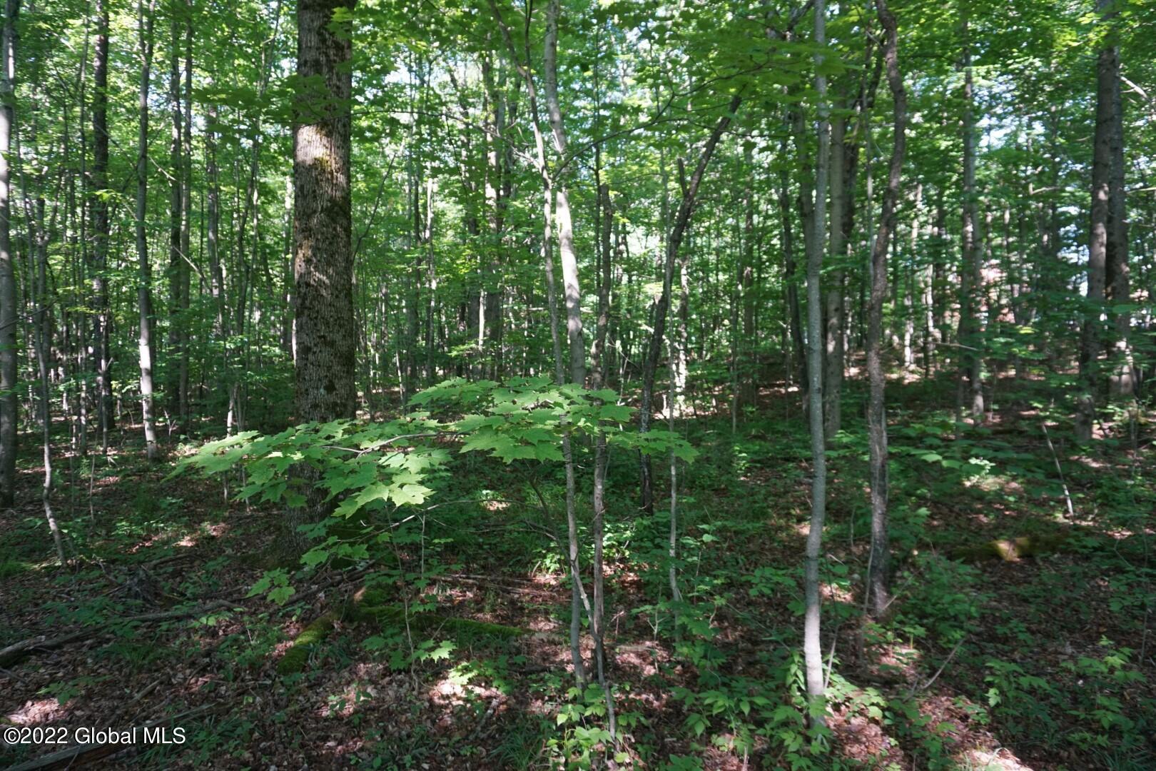 760 Smith Road Worcester, NY 12197 - Photo 7 of 18 DSC02110