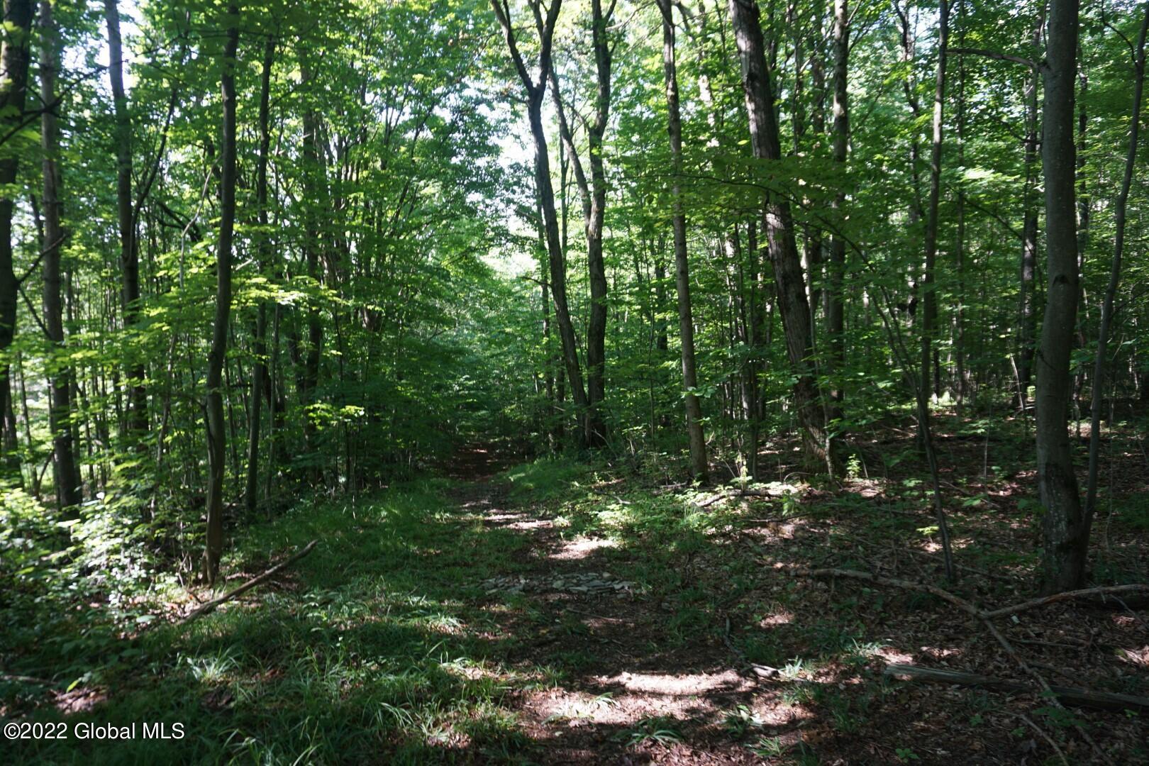 760 Smith Road Worcester, NY 12197 - Photo 8 of 18 DSC02109