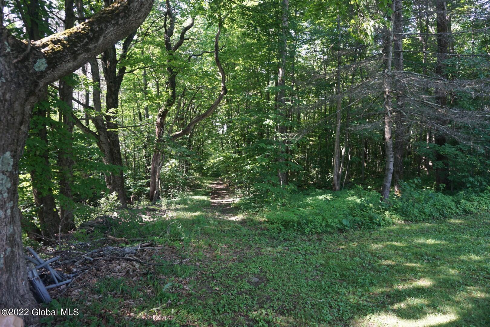 760 Smith Road Worcester, NY 12197 - Photo 9 of 18 DSC02108