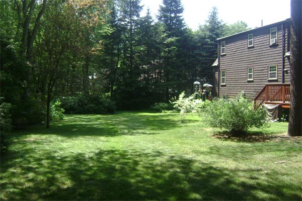 1 Spring Street Norfolk, MA 02056 - Photo 3 of 14 Gallery Image 3