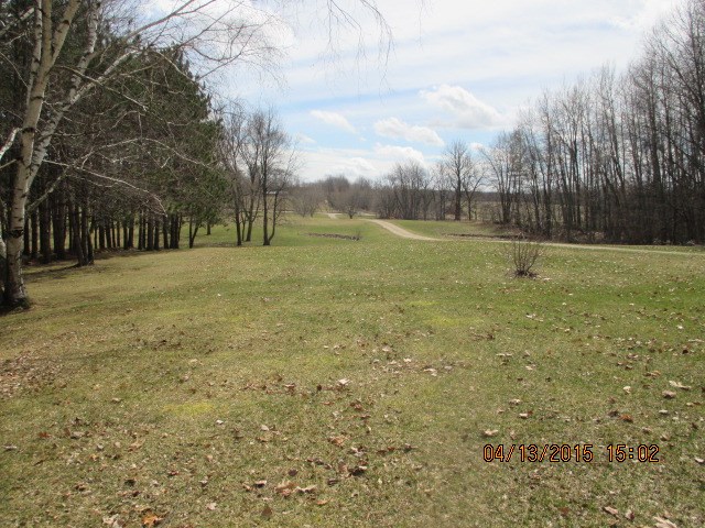 7767 East Mcbride Road Edmore, MI 48829 - Photo 28 of 29 1797533-27.JPG