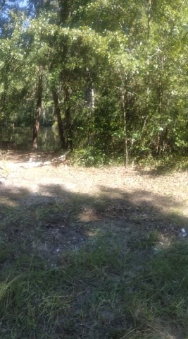4286 Hickory Road Sumter, SC 29154 - Photo 3 of 6 Gallery Image 3