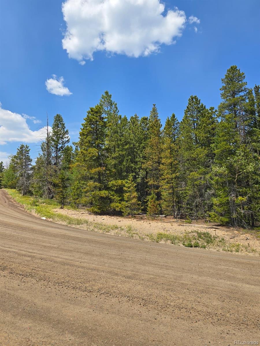 0 Virginia Canyon Road Central City, CO 80427 - Photo 3 of 5