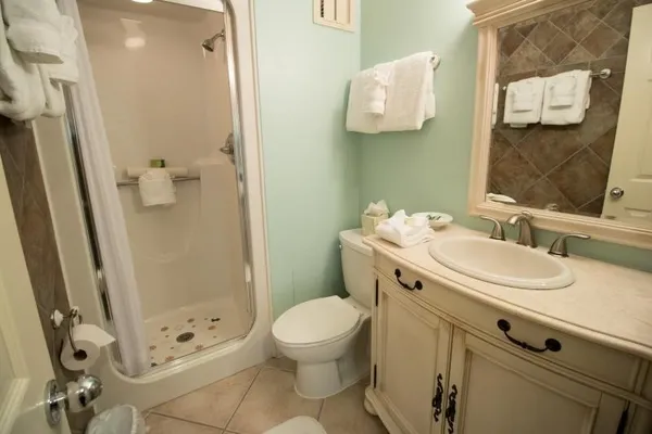 a bathroom with a sink a toilet and shower