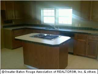 11484 Briggs Road Gonzales, LA 70737 - Photo 2 of 3 Gallery Image 2