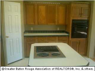 11484 Briggs Road Gonzales, LA 70737 - Photo 3 of 3 Gallery Image 3