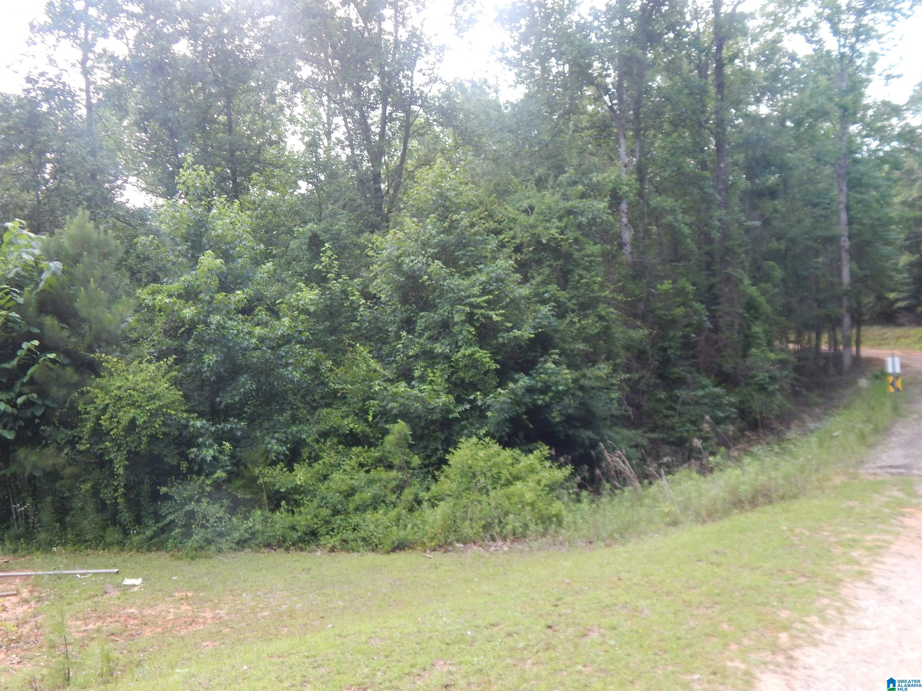 474 Caffee Creek Road Woodstock, AL 35188 - Photo 21 of 21