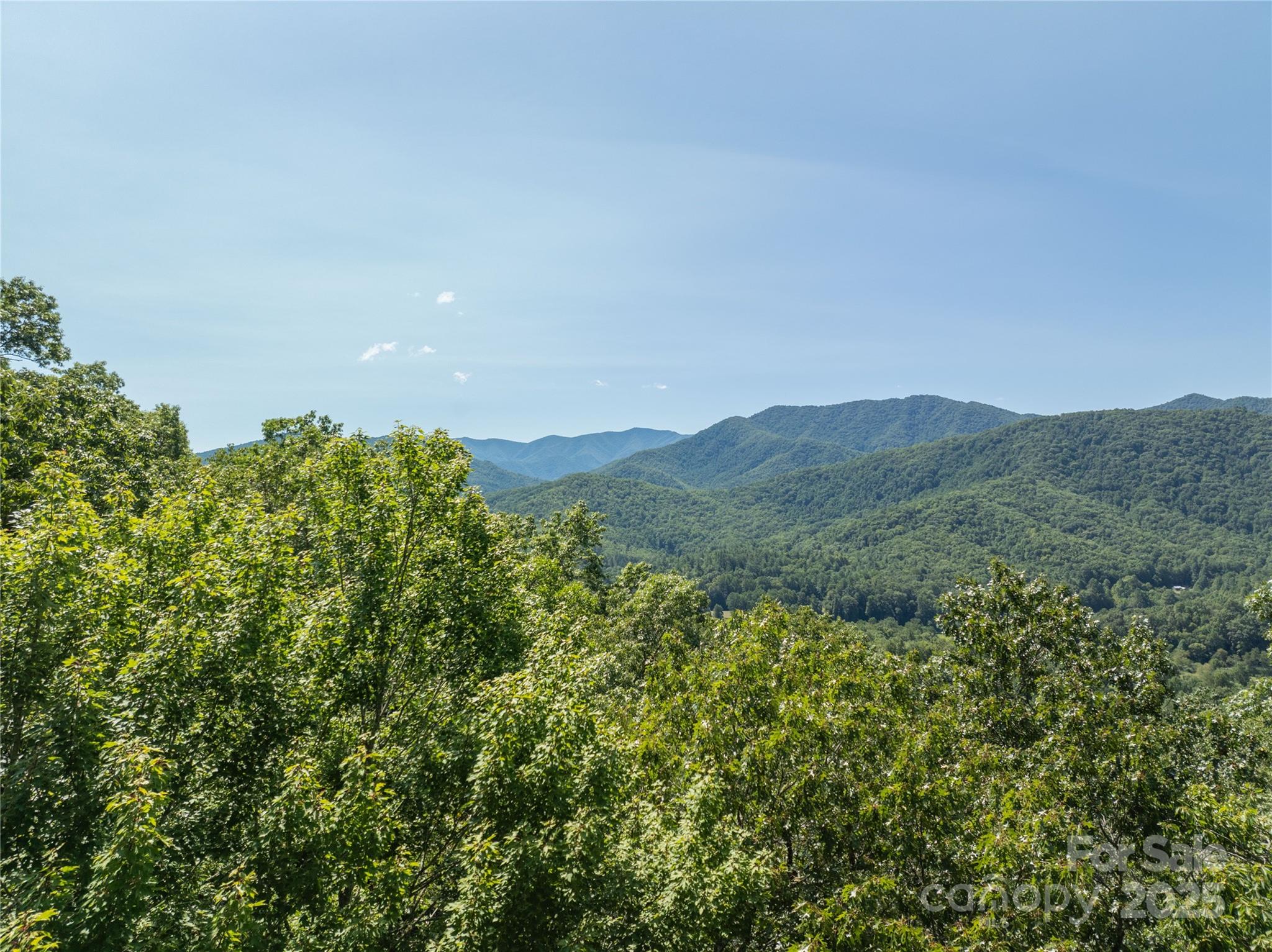 9999 Cindy Cove Road Robbinsville, NC 28771 - Photo 8 of 28