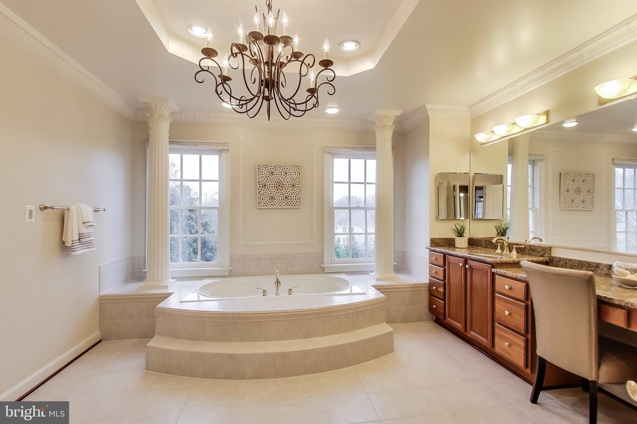 8893 Windy Ridge Way McLean, VA 22102 - Photo 34 of 52 Soaking Tub