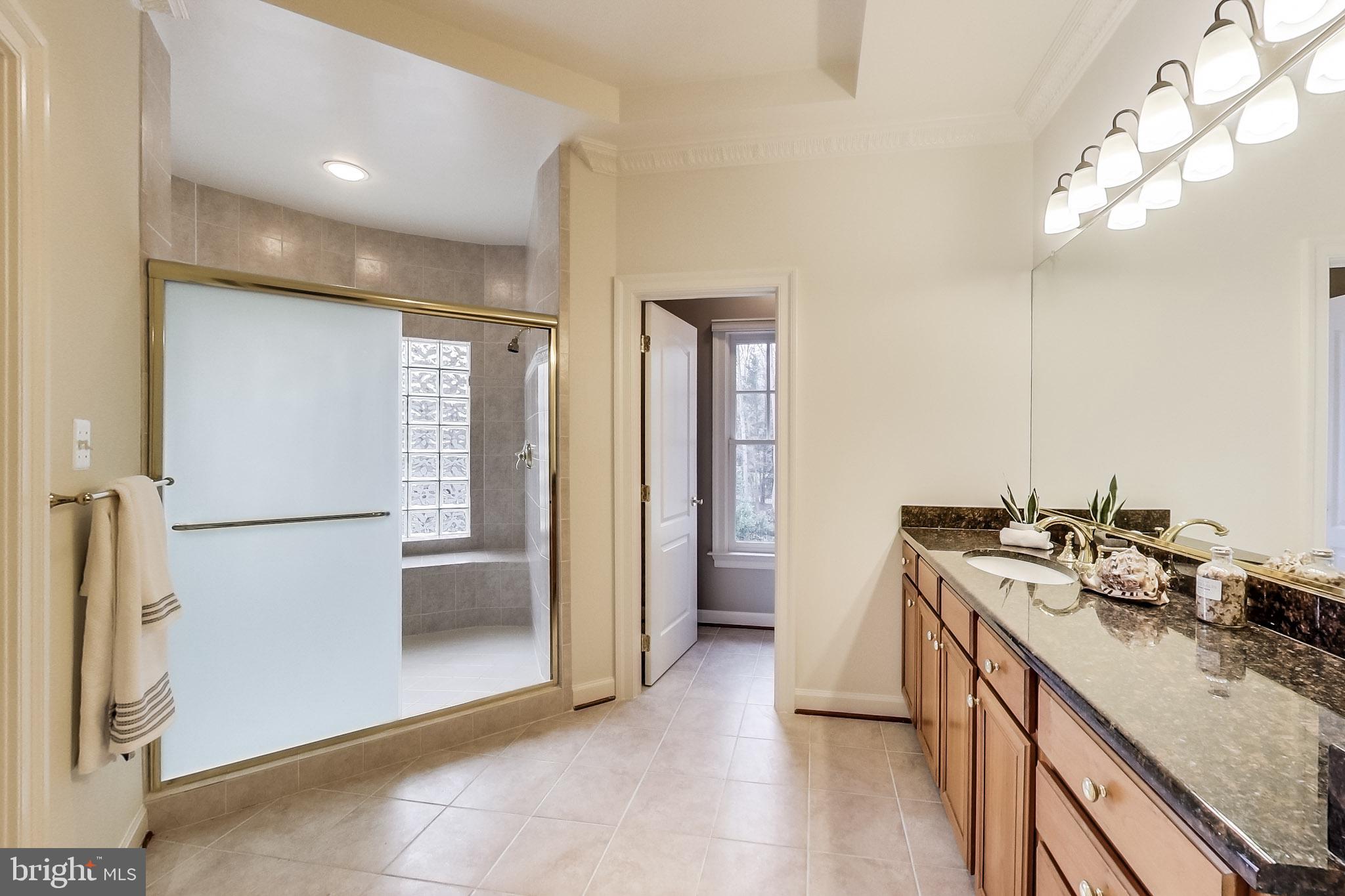 8893 Windy Ridge Way McLean, VA 22102 - Photo 35 of 52 Separate Shower