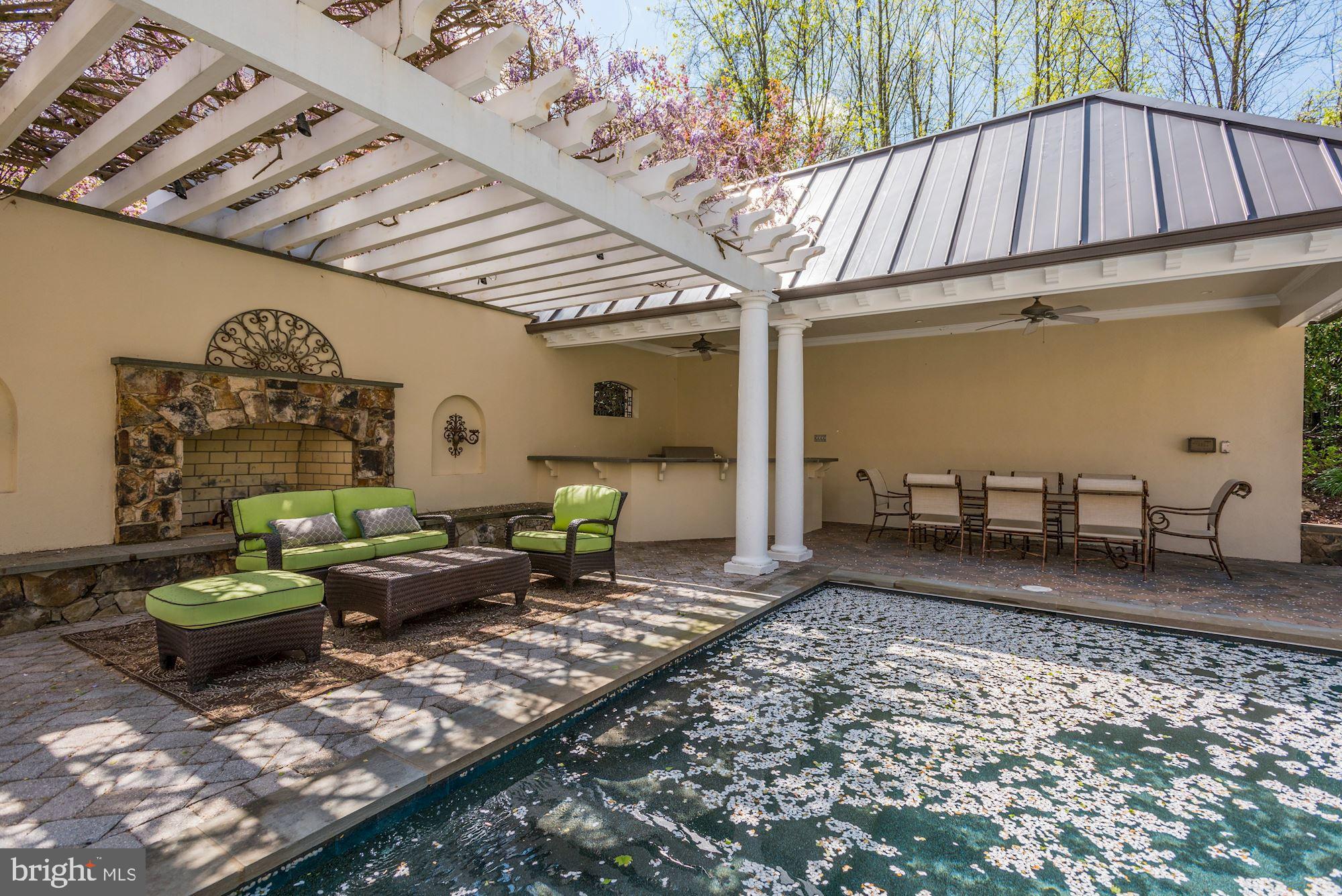 8893 Windy Ridge Way McLean, VA 22102 - Photo 6 of 52 Outdoor Kitchen and Fireplace