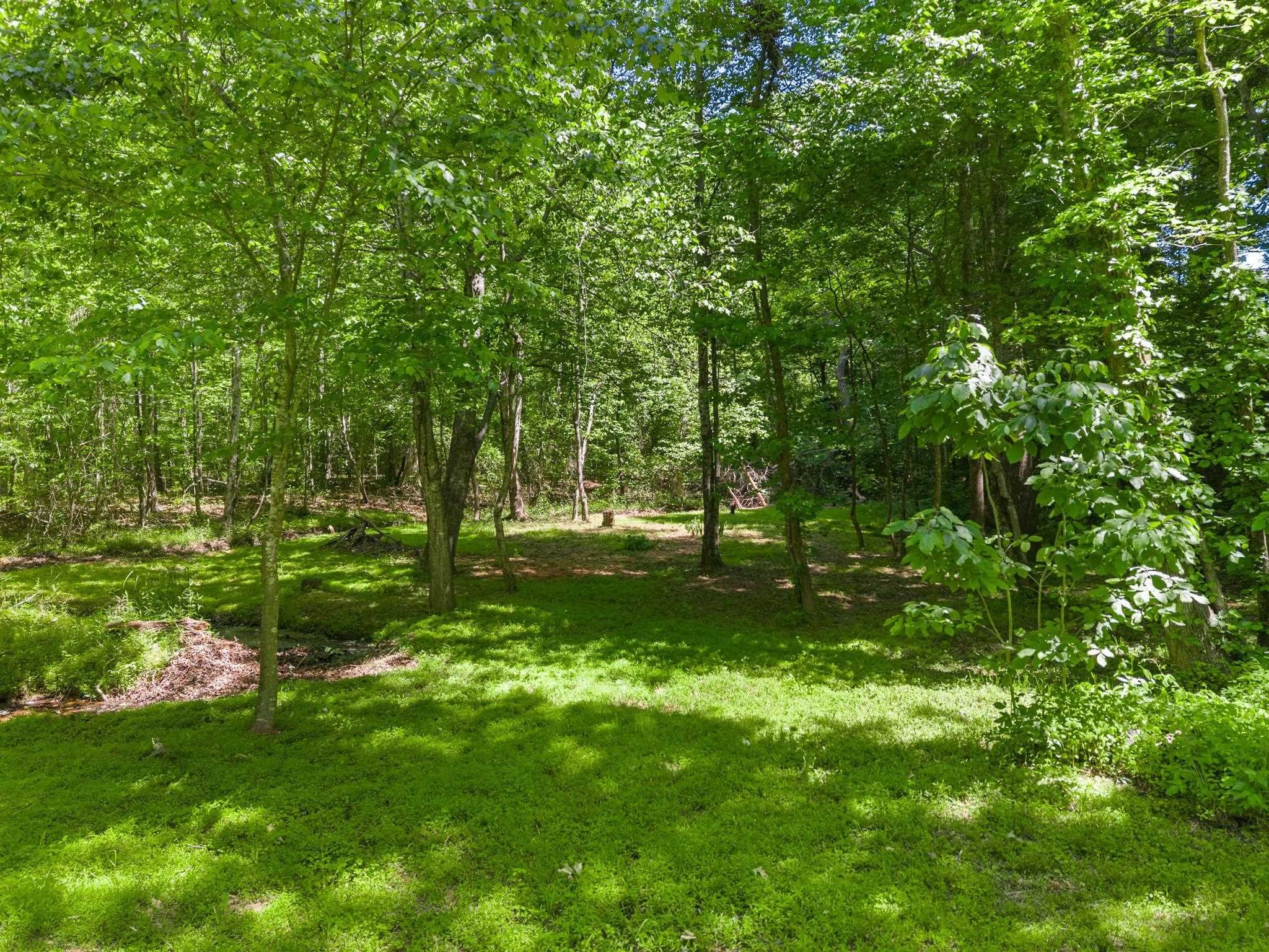 46 Lee Street Lyman, SC 29365 - Photo 46 of 50