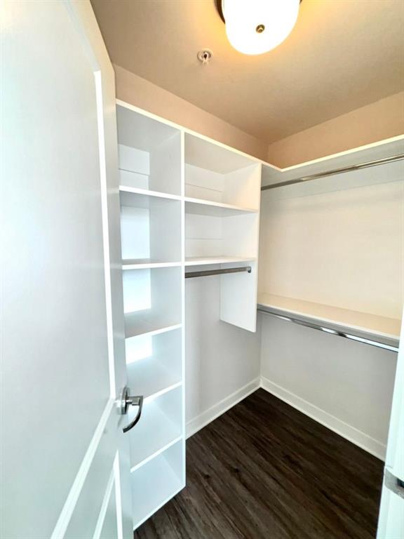 3382 Peachtree Road Northeast, Unit S08 Atlanta, GA 30326 - Photo 36 of 52 a view of walk in closet with empty racks