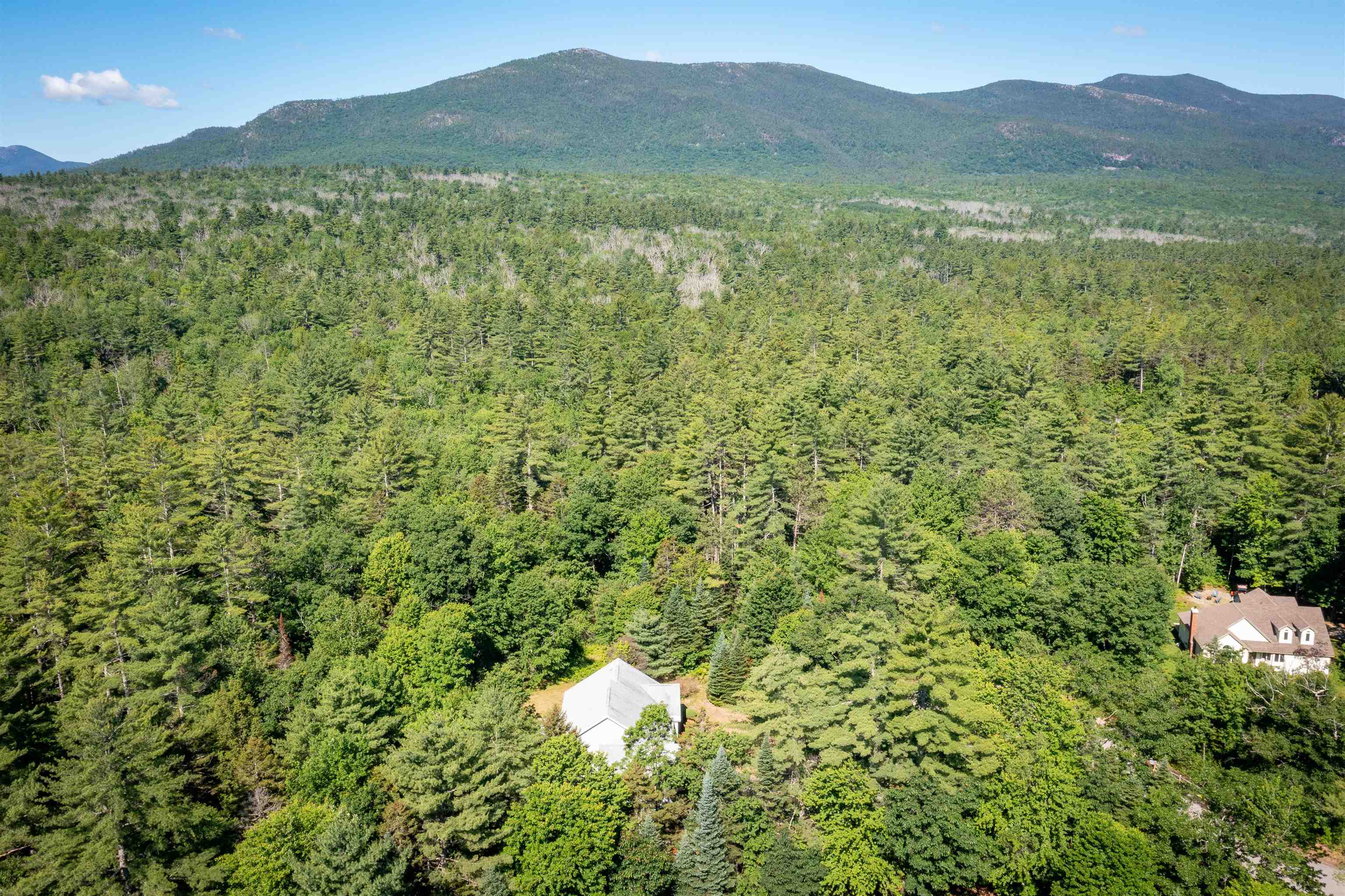 407 Dandiview Road Conway, NH 03860 - Photo 48 of 49
