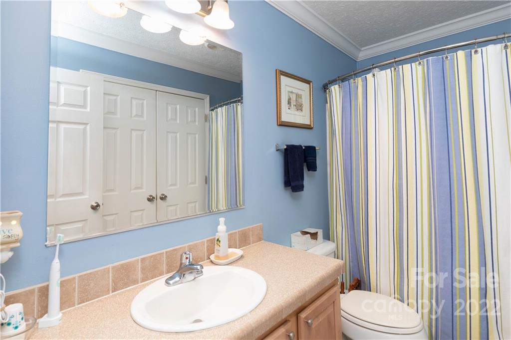 3920 Wilson Chapel Road Sharon, SC 29742 - Photo 16 of 33 a bathroom with a sink a toilet and shower curtain