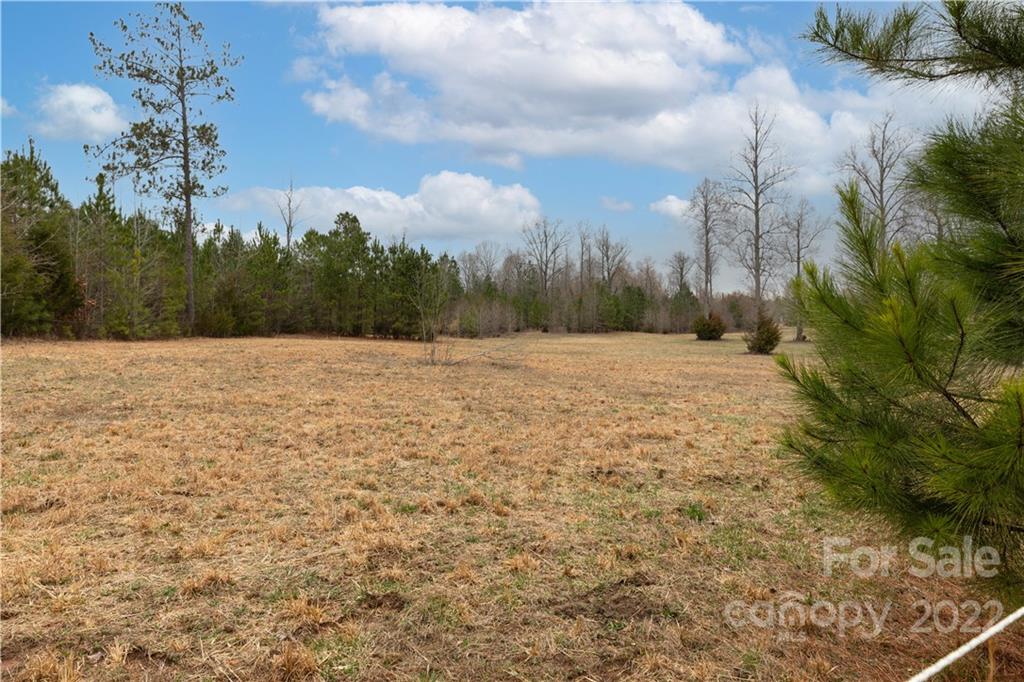 3920 Wilson Chapel Road Sharon, SC 29742 - Photo 28 of 33 a view of outdoor space with trees
