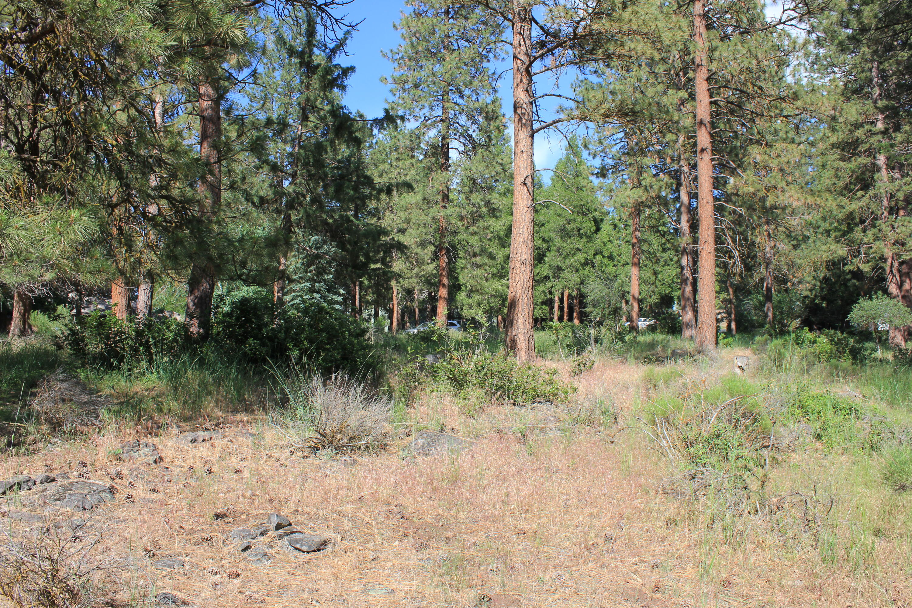 Lot 165 Kestrel Road Klamath Falls, OR 97601 - Photo 10 of 28 IMG_8466