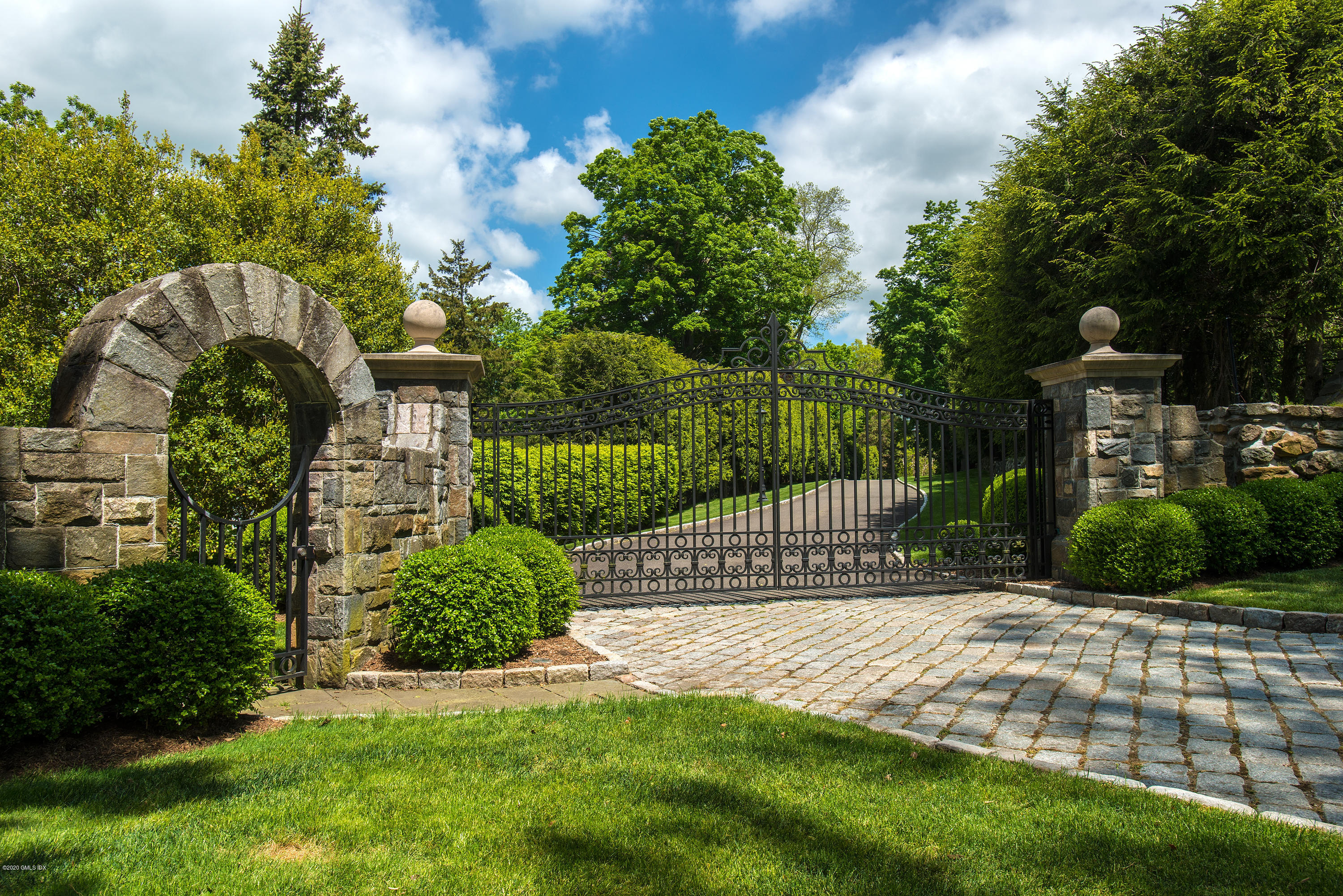 a view of a park with plants and large trees