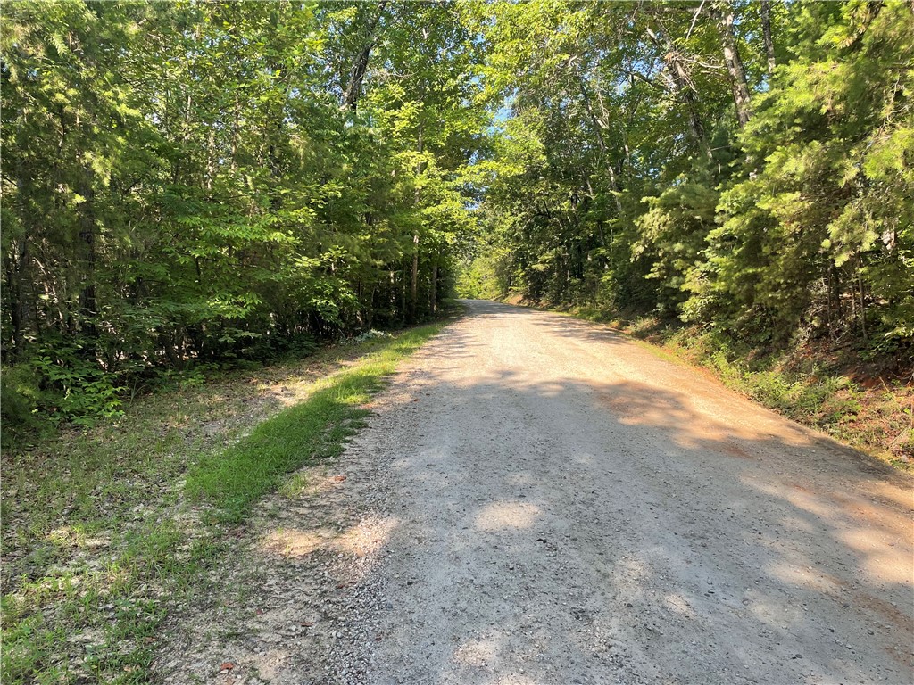 0 Whitewater Point Road Tamassee, SC 29686 - Photo 13 of 21 Gallery Image 13