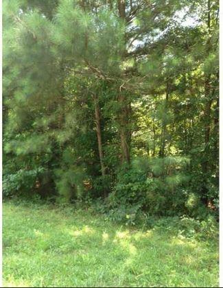 1661 Bennett Road Grayson, GA 30017 - Photo 3 of 4 a view of a lush green forest