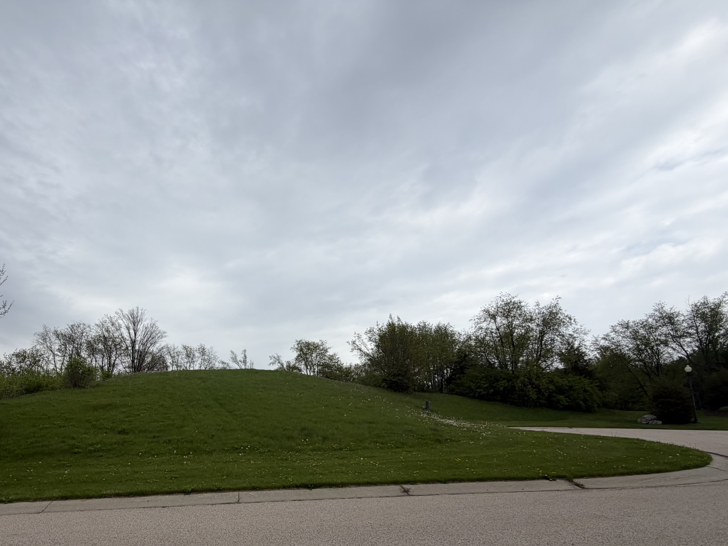 7010 Wildflower Court Spring Grove, IL 60081 - Photo 2 of 7