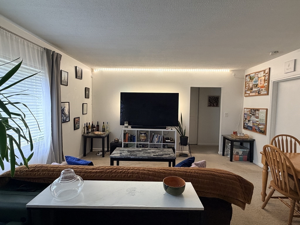 185 Lake Shore Road, Unit 1 Boston, MA 02135 - Photo 3 of 21
