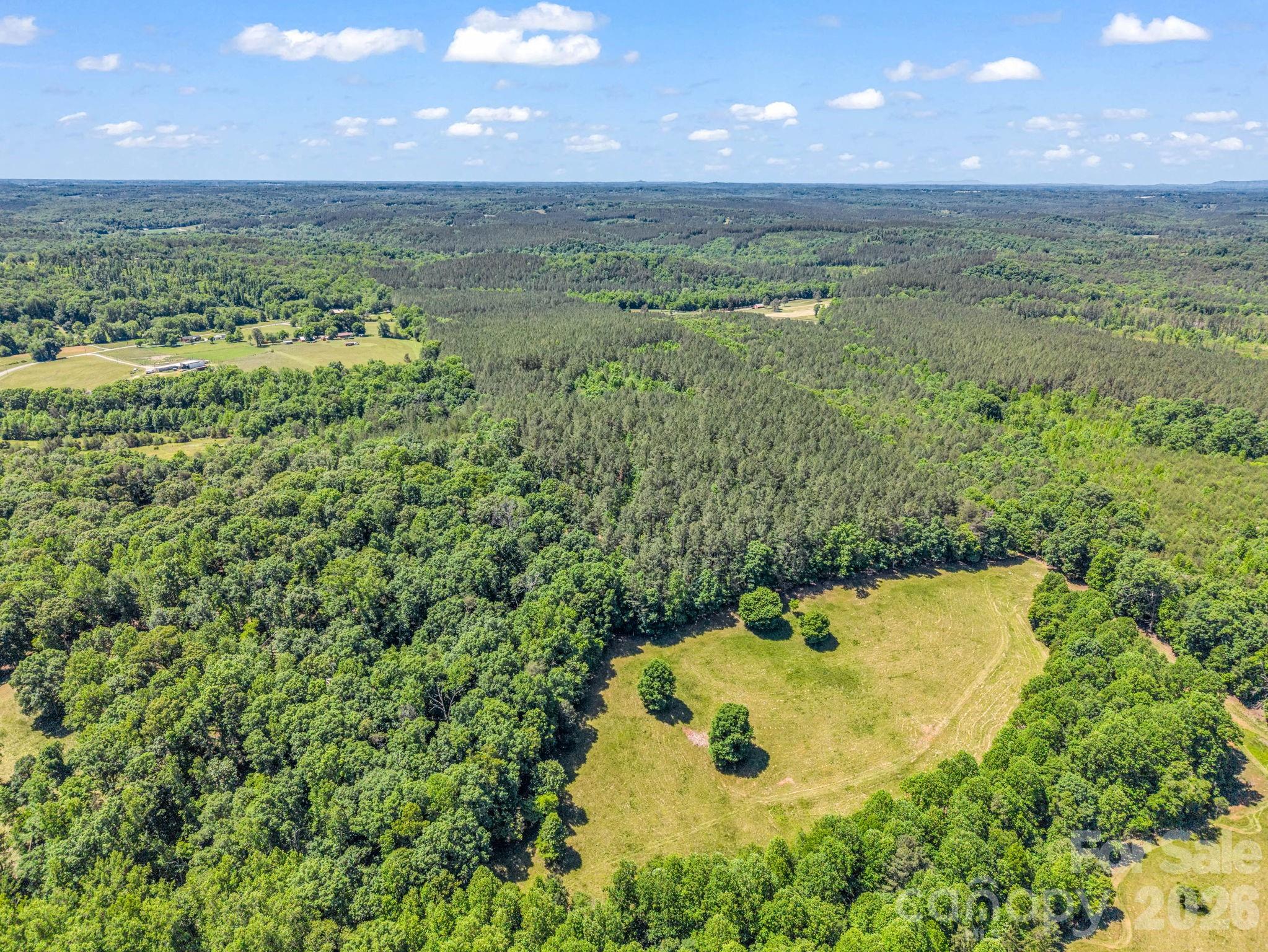 0 Jim Dobbins Road Rutherfordton, NC 28139 - Photo 12 of 39 a view of a big yard with lots of green space