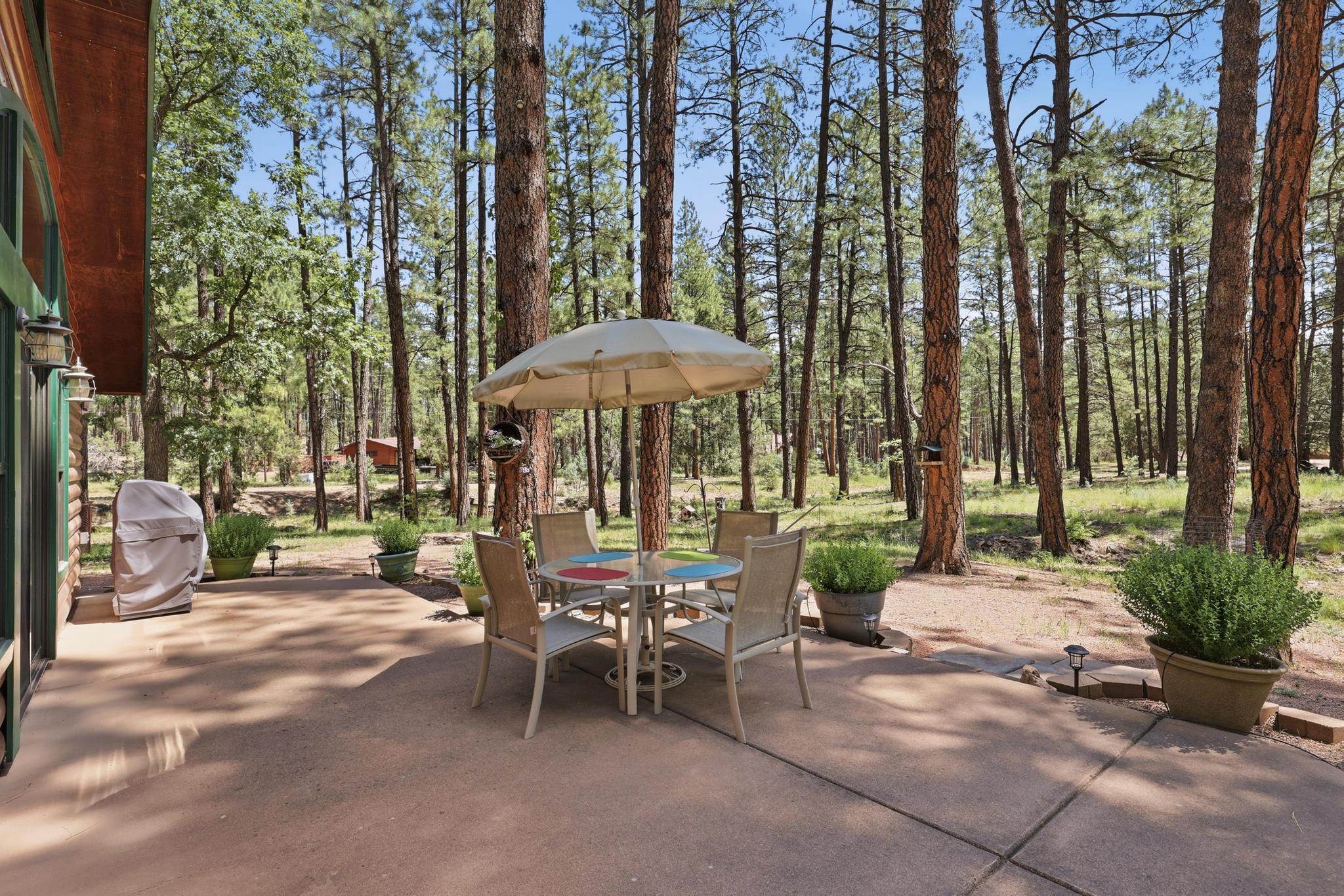 384 Pumphouse Road Payson, AZ 85541 - Photo 38 of 45 Gallery Image 38