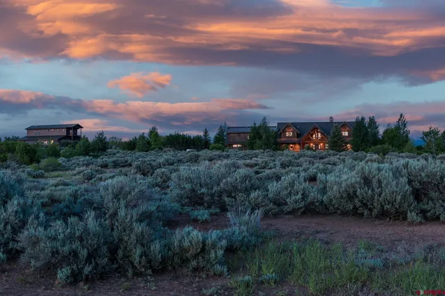 a view of a city with lush green forest