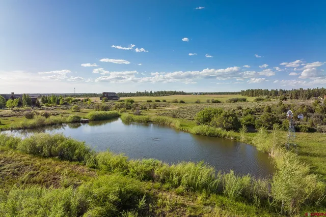 a view of an ocean and beach