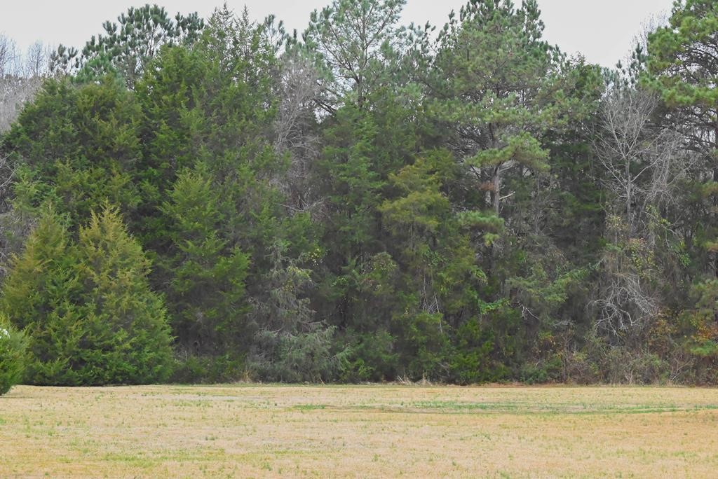 0 West Deadfall Road Greenwood, SC 29649 - Photo 3 of 14 Gallery Image 3