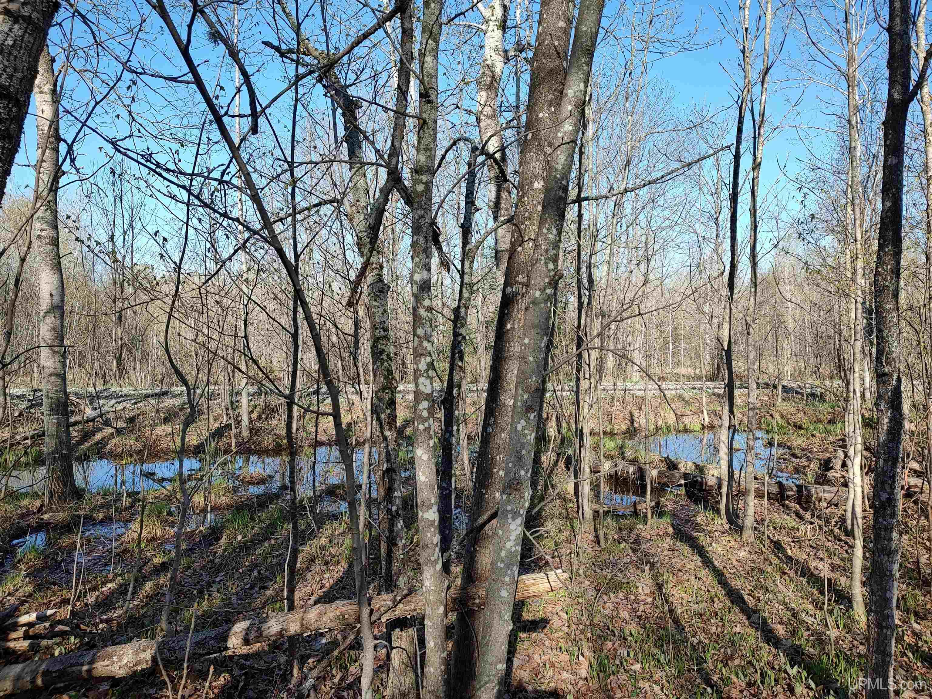 Tbd Tbd Schooner Road Ontonagon, MI 49953 - Photo 26 of 44