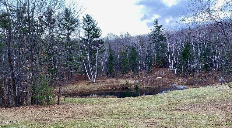 175 Henry Wescott Road Thurman, NY 12885 - Photo 64 of 78 Copy of IMG_4282_Converted_2026060413525