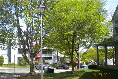 13700 Modrad Way, Unit 8A32 Silver Spring, MD 20904 - Photo 2 of 30 Exterior (General)