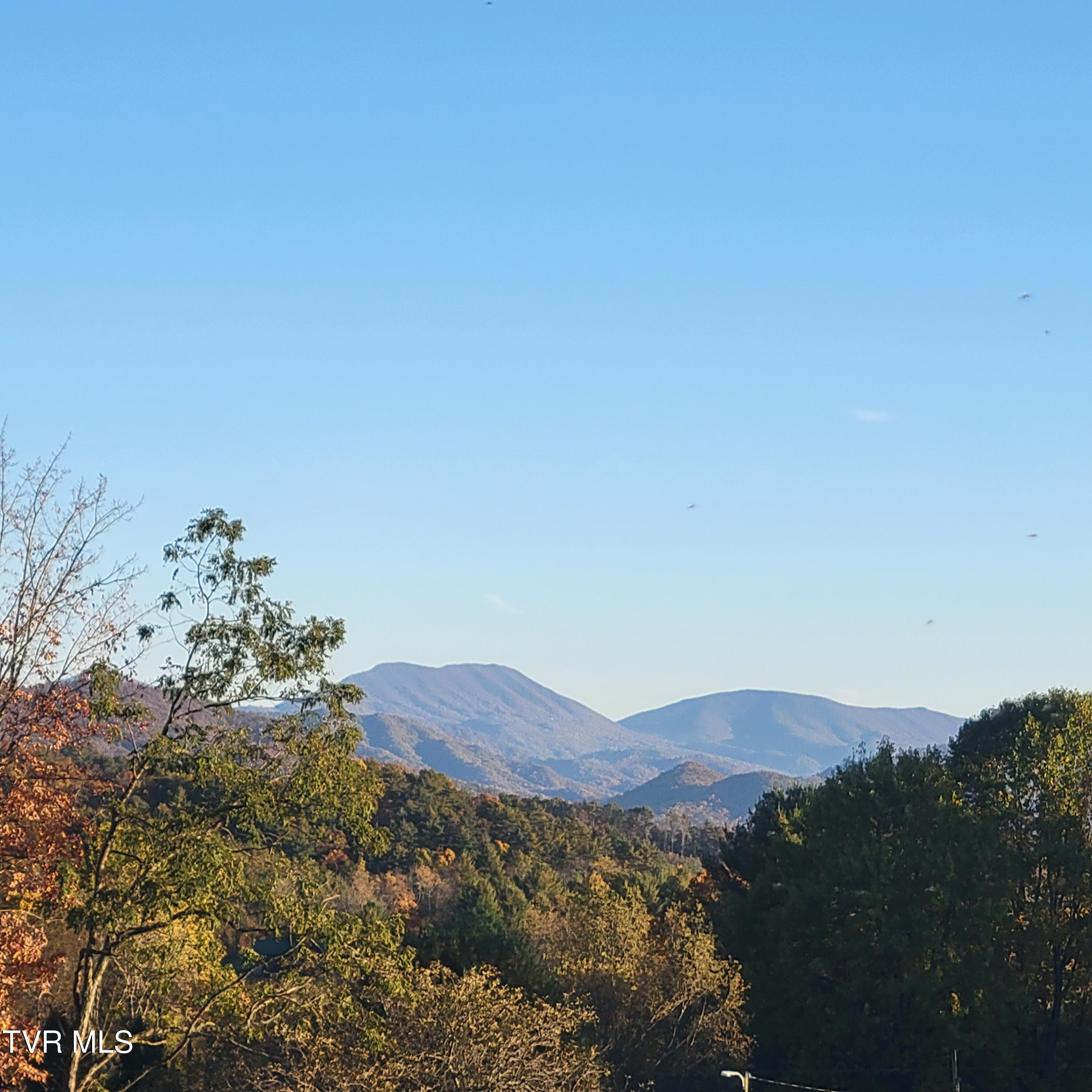 0 B B Johnson Road Mountain City, TN 37683 - Photo 2 of 31 1000004770