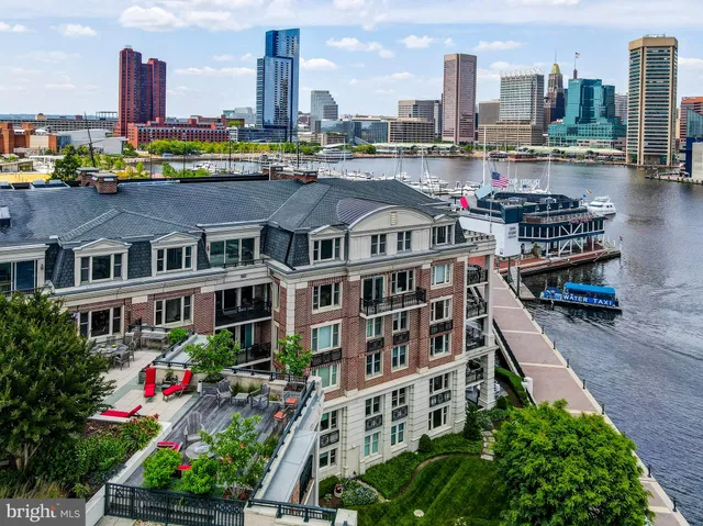 a living room with furniture a rug potted plant and a window