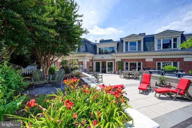a view of a patio with table and chairs potted plants and large tree
