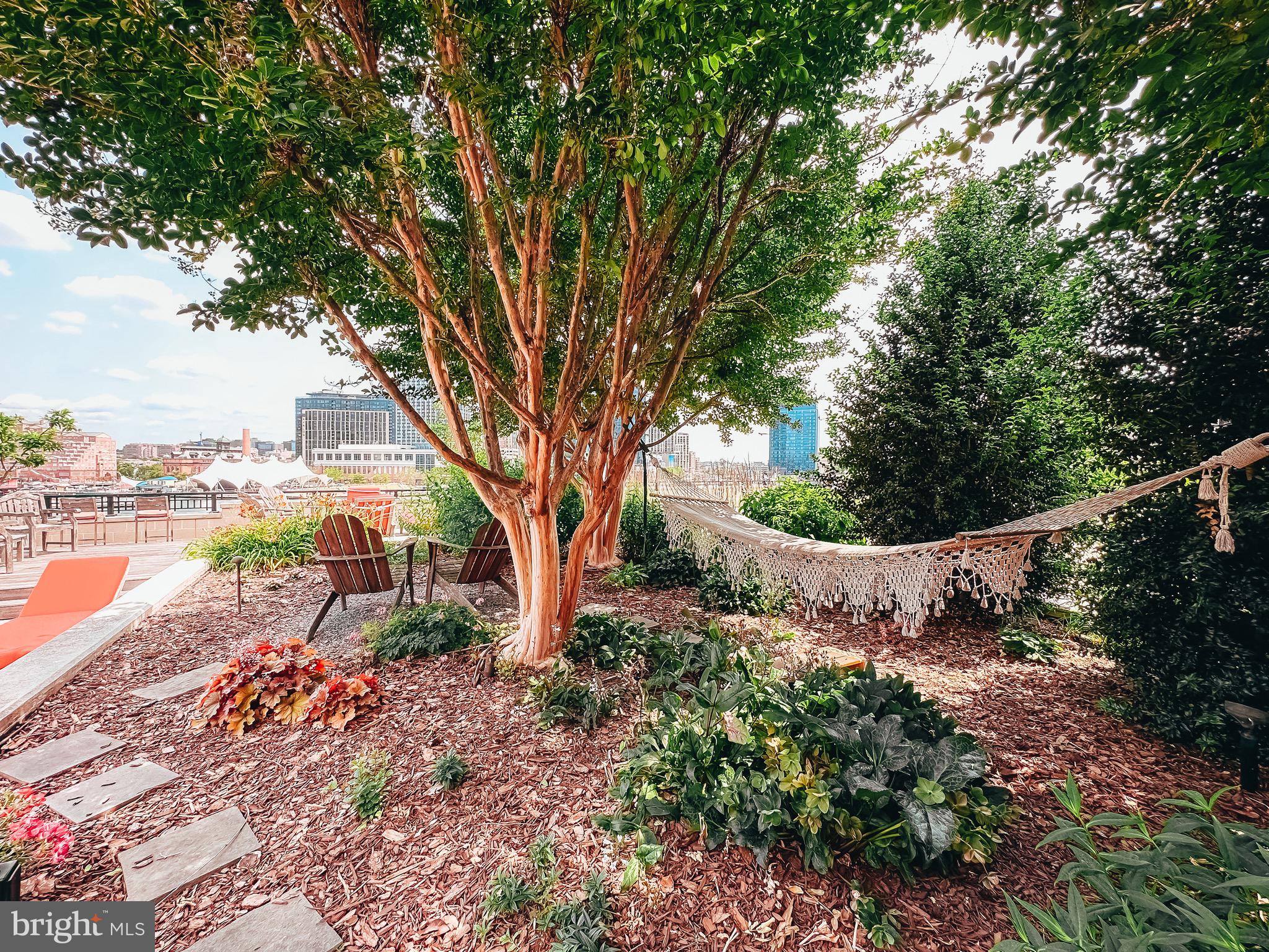 801 Key Highway, Unit T11 Baltimore, MD 21230 - Photo 81 of 86 a view of a park with large trees