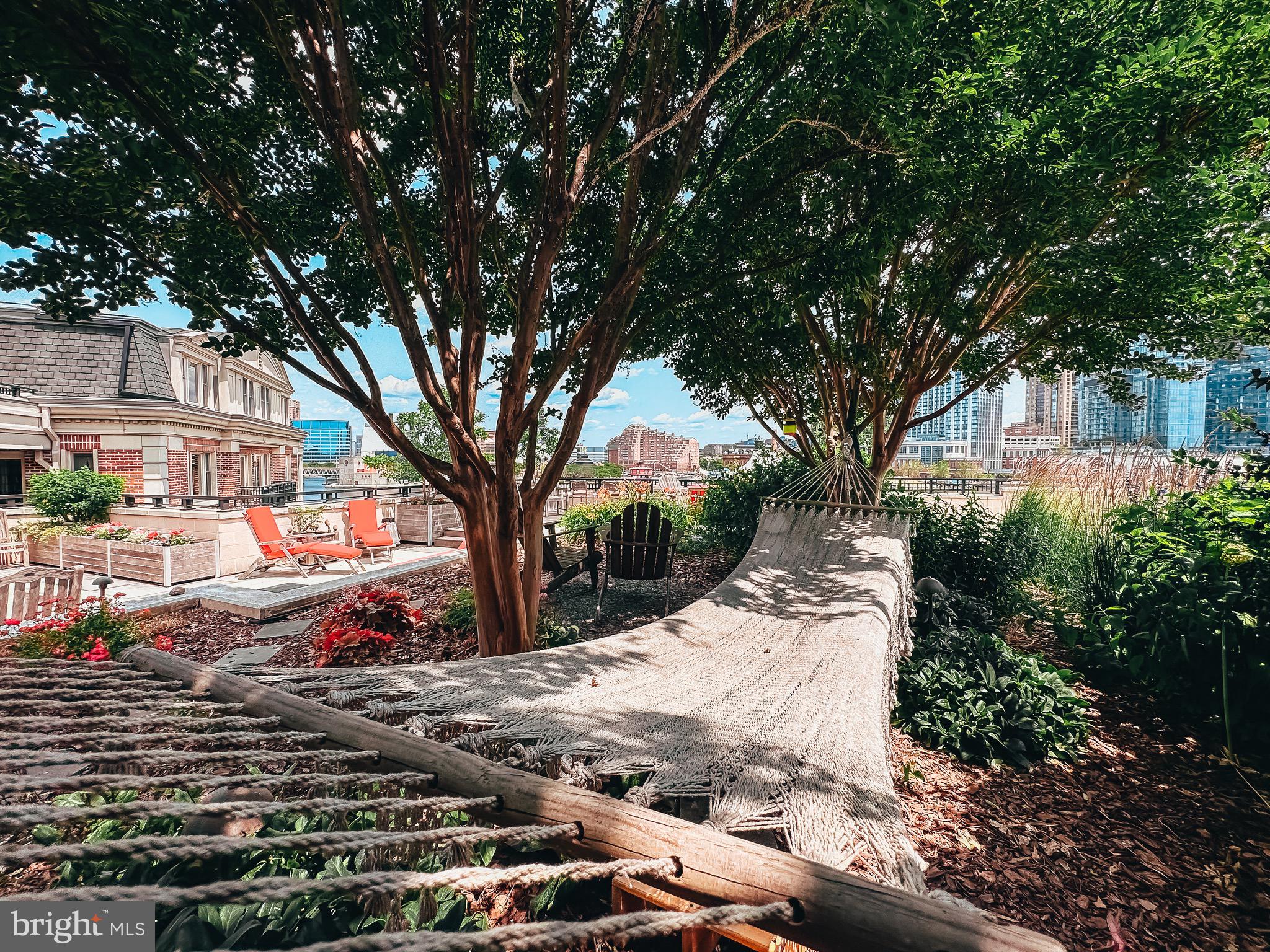 801 Key Highway, Unit T11 Baltimore, MD 21230 - Photo 84 of 86 a park view with large trees