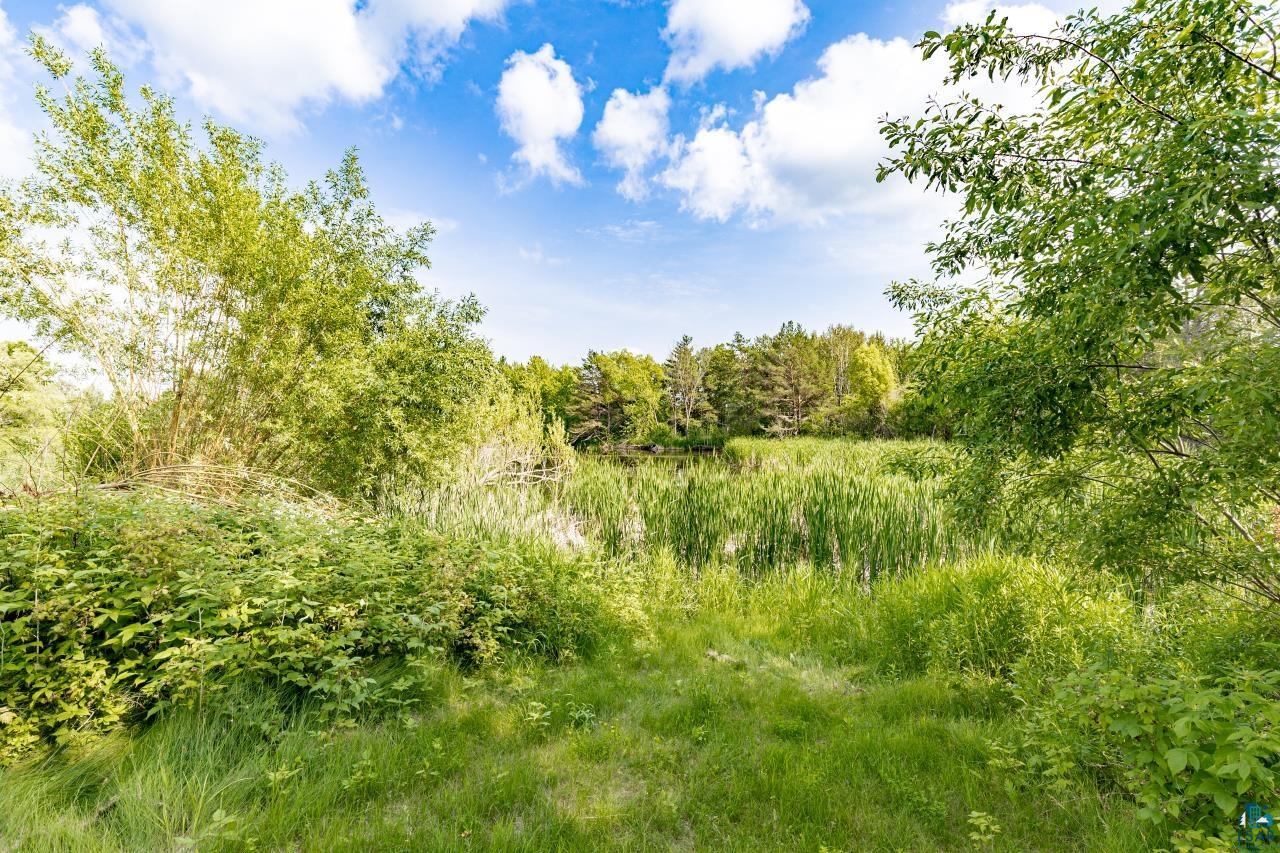 4800 Tower Road Moose Lake, MN 55767 - Photo 47 of 83 Expansive natural landscape featuring a pond surrounded by tall reeds, lush green foliage, and a dense treeline