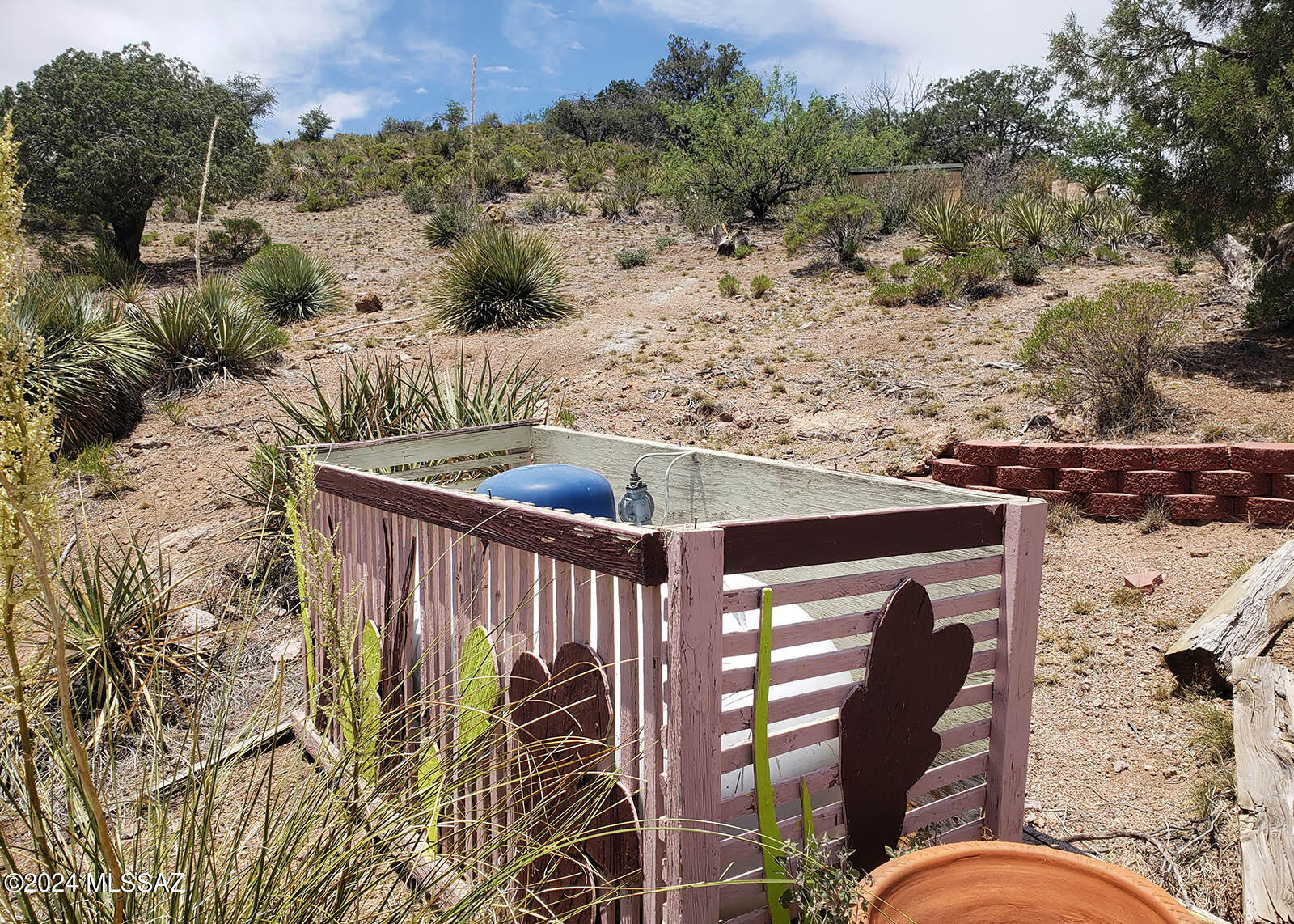 6612 West Juniper Ridge Road Elfrida, AZ 85610 - Photo 17 of 22 Gallery Image 17