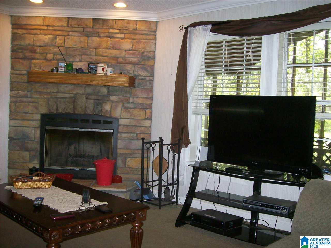 7378 State Lake Road Delta, AL 36258 - Photo 3 of 38