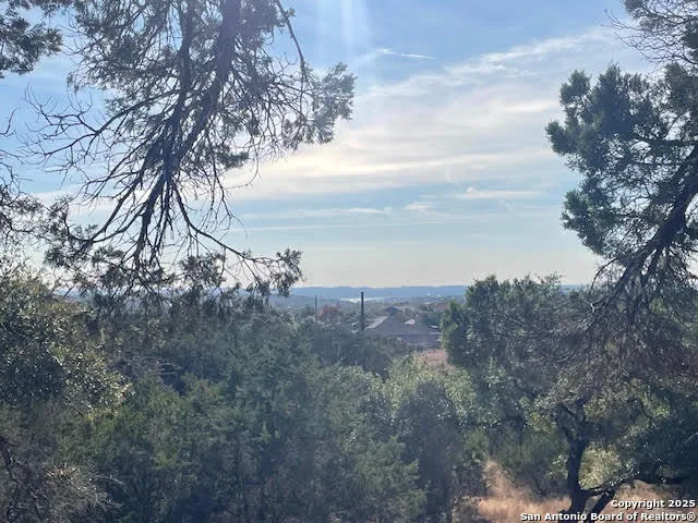 a view of a dry yard with lots of trees
