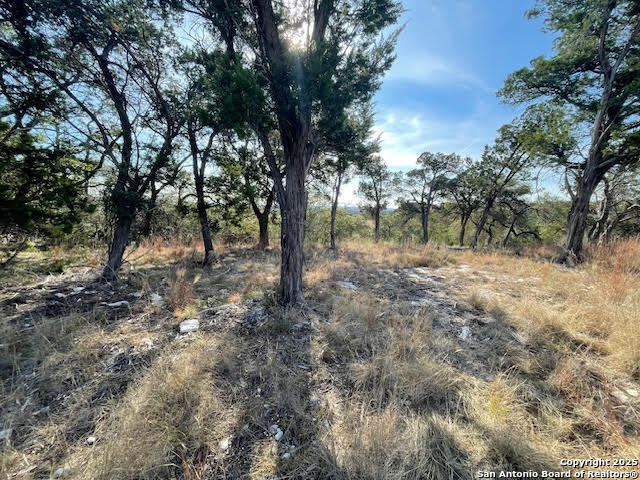 426 Coneflower Drive Spring Branch, TX 78070 - Photo 18 of 26