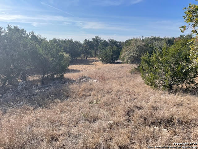 426 Coneflower Drive Spring Branch, TX 78070 - Photo 22 of 26