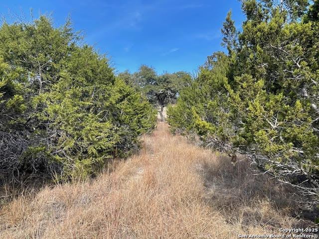 426 Coneflower Drive Spring Branch, TX 78070 - Photo 25 of 26
