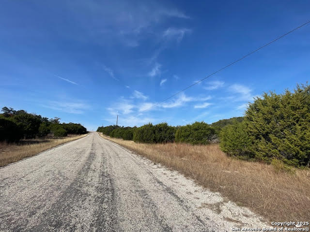 426 Coneflower Drive Spring Branch, TX 78070 - Photo 5 of 26