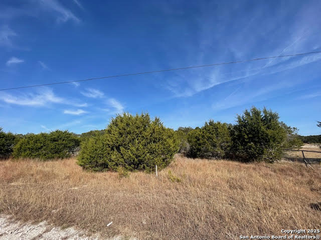 426 Coneflower Drive Spring Branch, TX 78070 - Photo 7 of 26