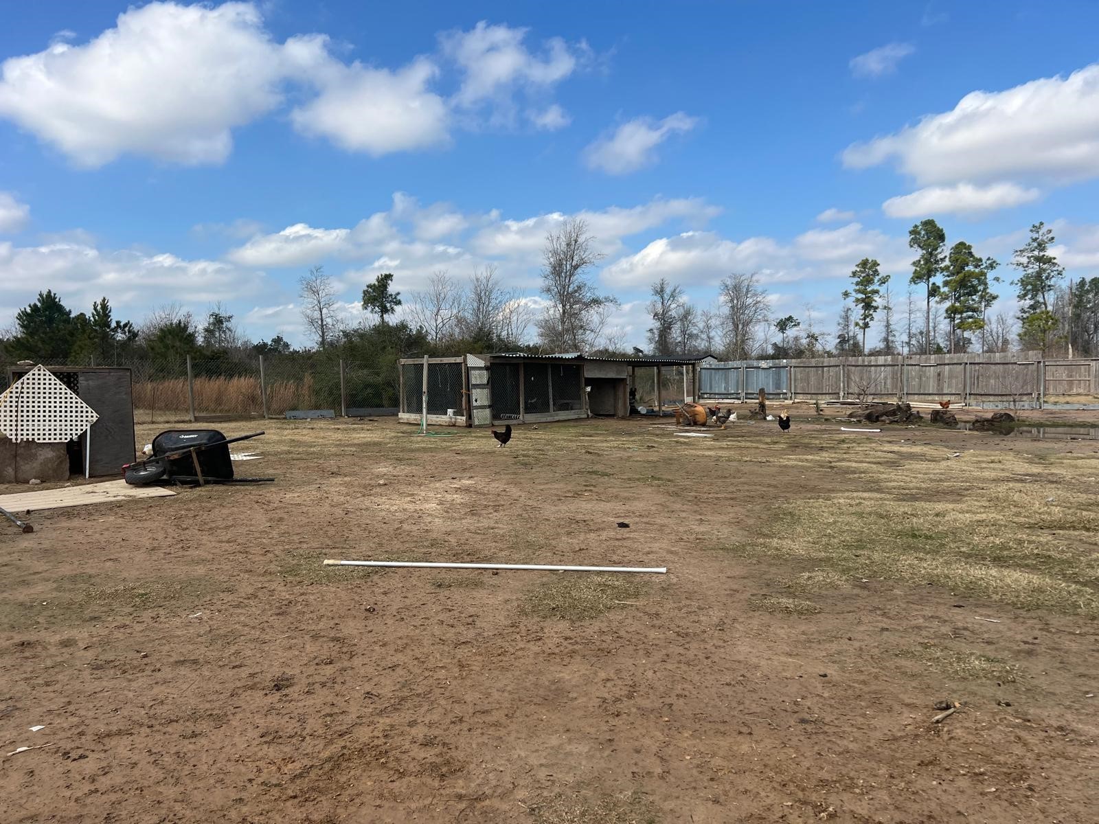 83 Road 5250 Cleveland, TX 77327 - Photo 3 of 8