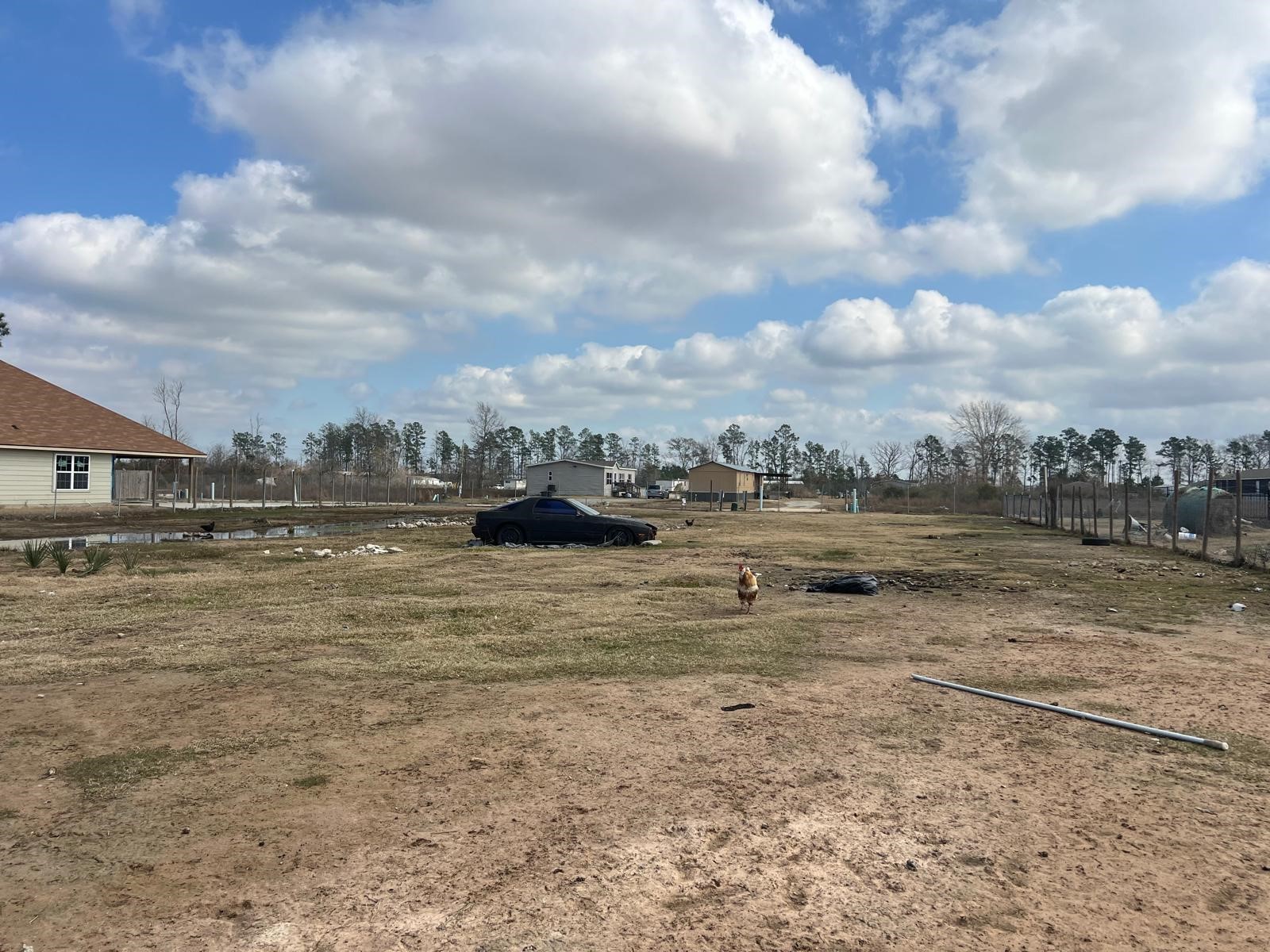 83 Road 5250 Cleveland, TX 77327 - Photo 4 of 8